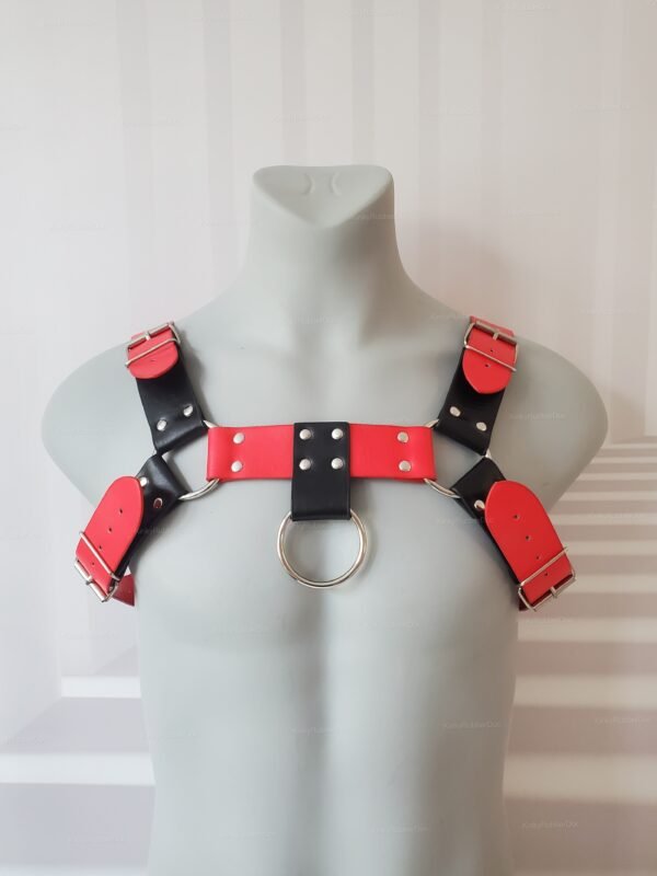 Black and red adjustable strap harness with metal ring accents.