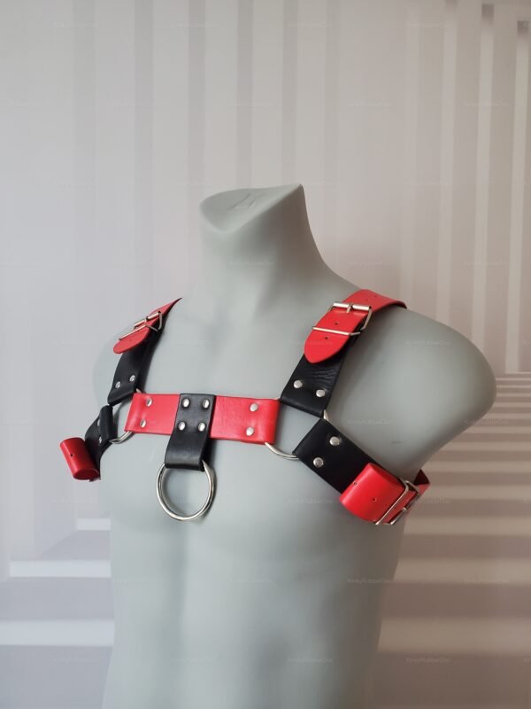 Red Black Harness with O-Ring accents.