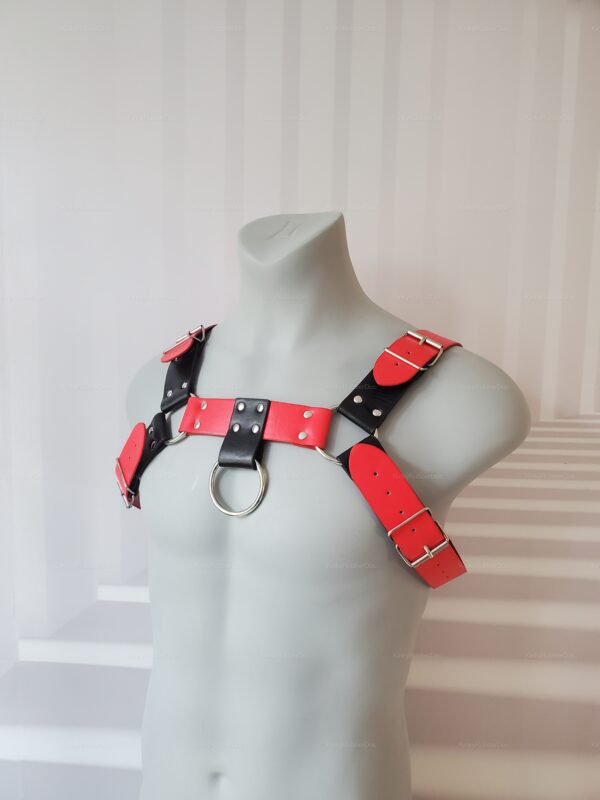 Red and black leather body harness with silver buckles and hardware.