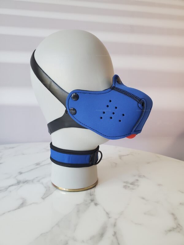 Blue neoprene and nylon collar and muzzle set on a marble surface.