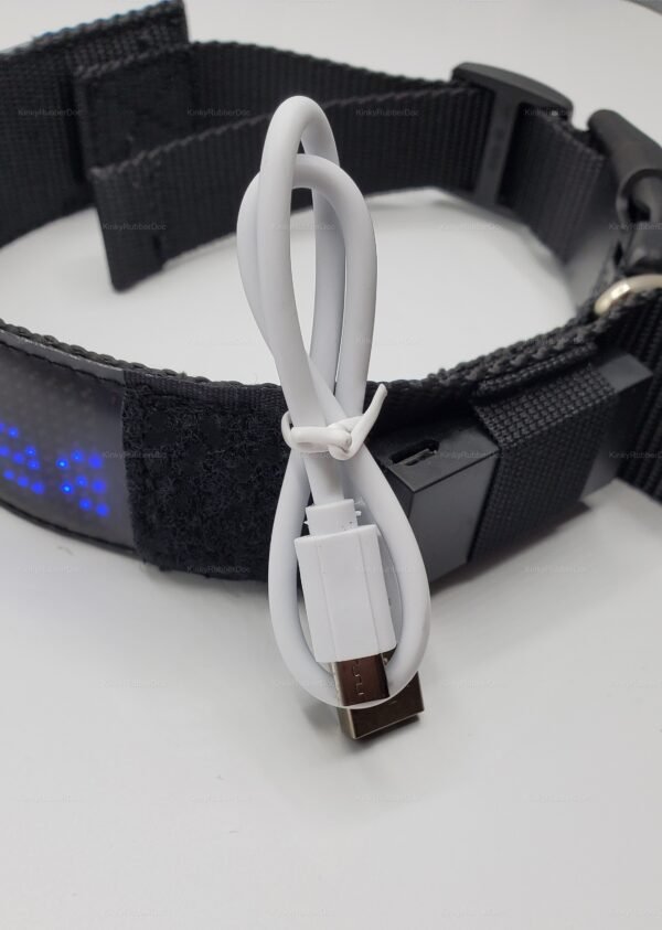 Smart collar with LED display for playful pet role-play, featuring USB connectivity.
