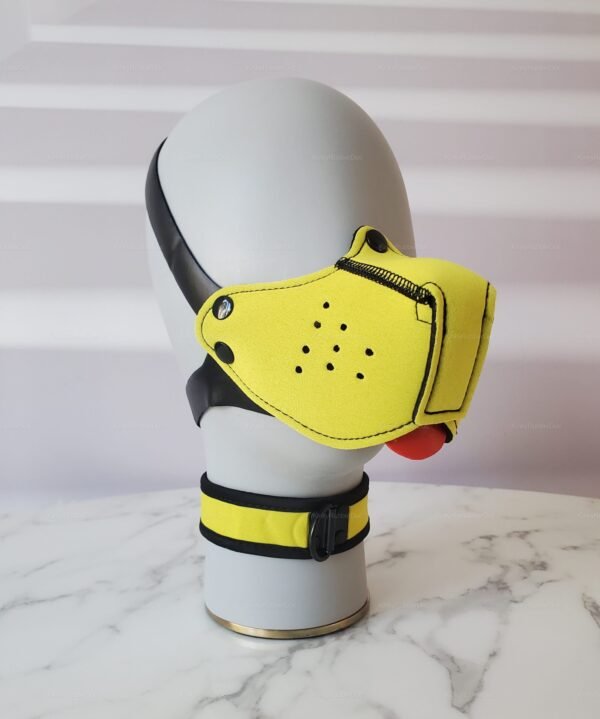 Yellow Neoprene Pup Muzzle & Collar Set – Petplay Gear