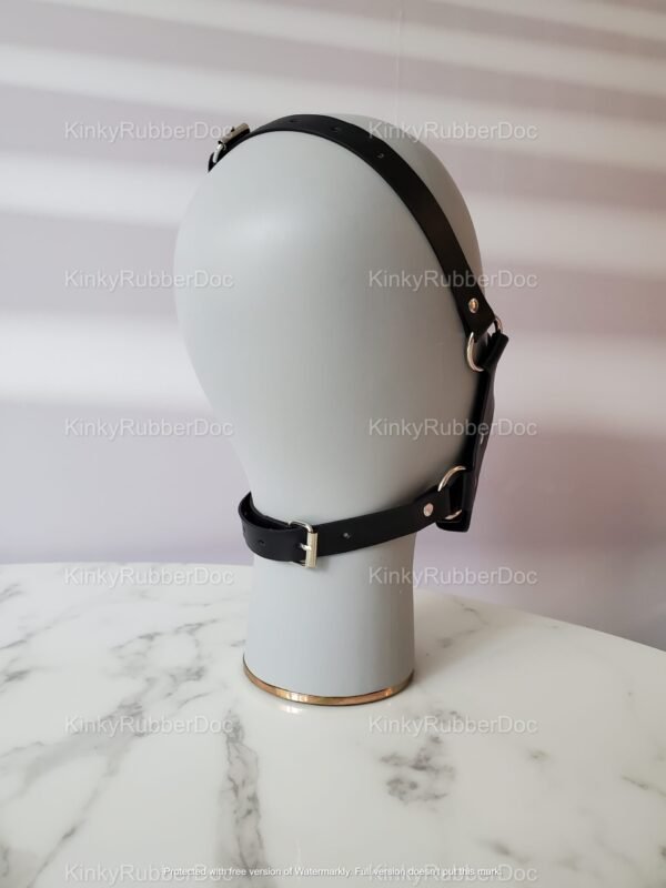 Black leather head harness with adjustable straps and silver hardware.
