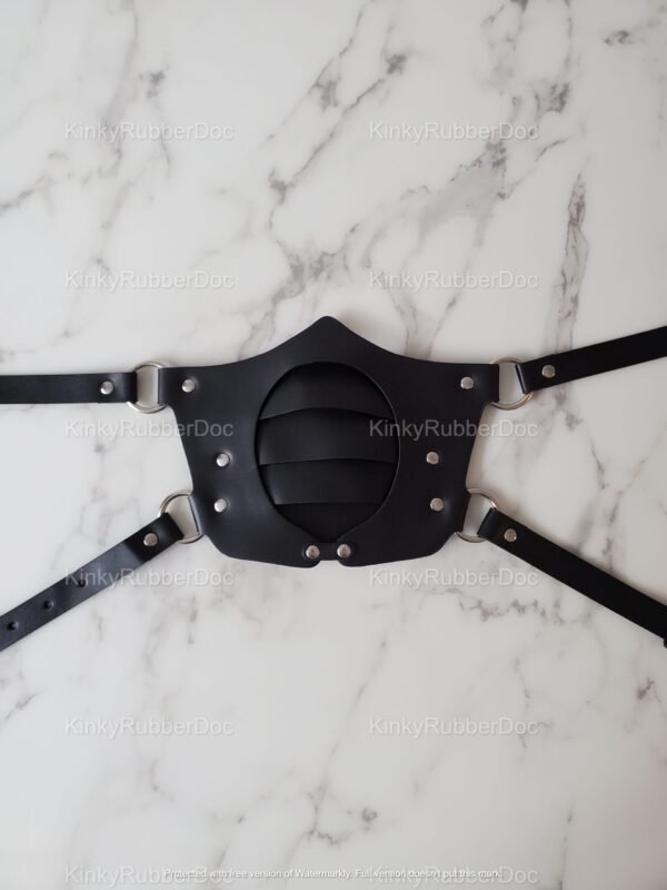 Elegant black leather face mask with adjustable straps and metal accents.