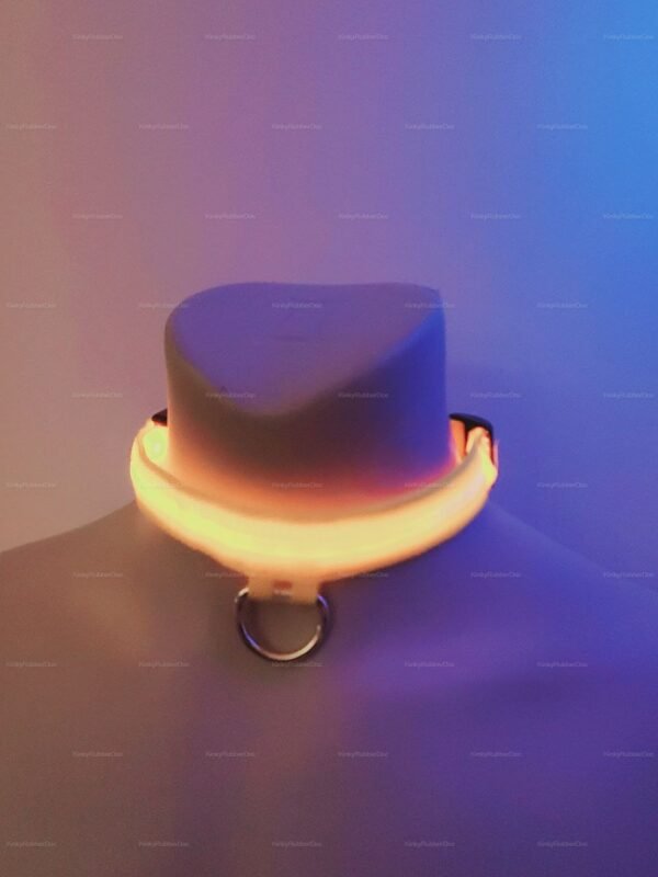 LED collar with neon light and USB charging, perfect for pup play and fetish wear.