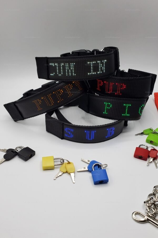 LED message collar with locks and keys set in vibrant colors.