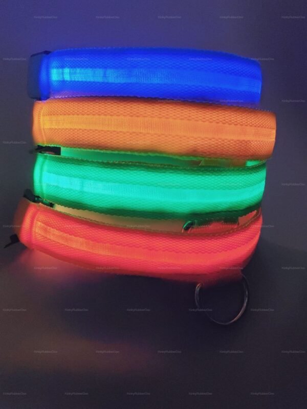 Neon LED collars in vibrant blue, orange, green, and pink hues stacked together.