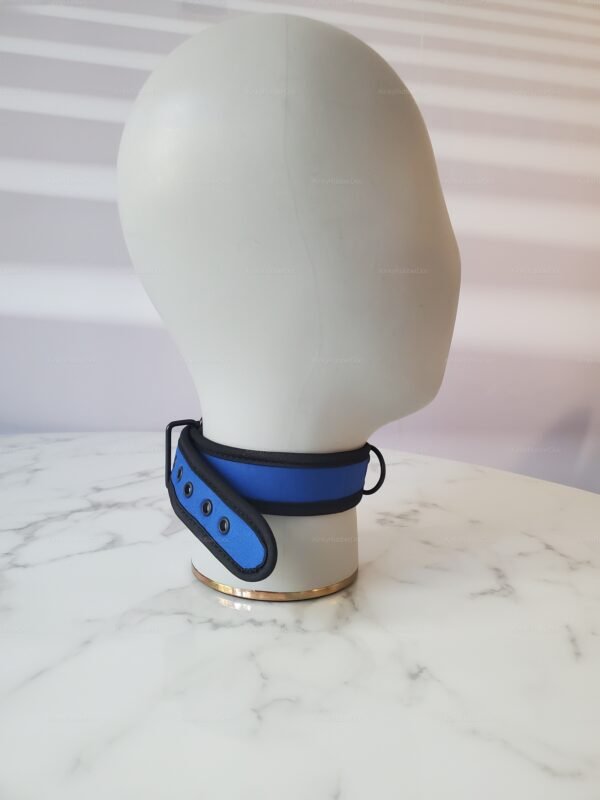 Blue neoprene and nylon collar with black trim and adjustable buckle.