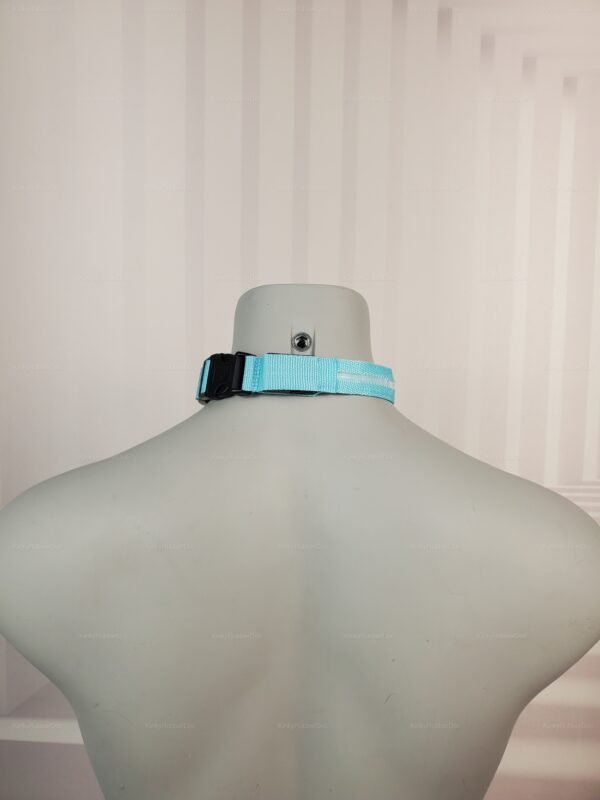 A sleek blue nylon collar with LED detailing, designed for adventurous style and nighttime allure.