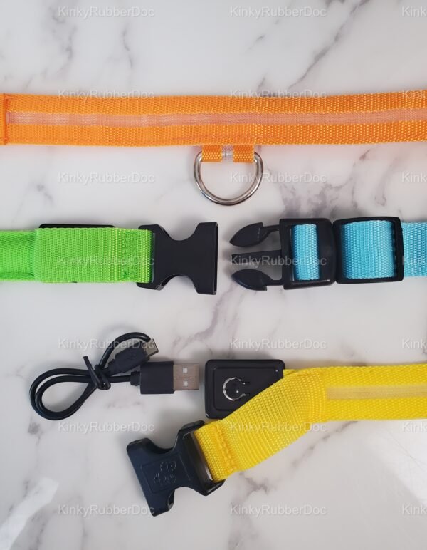USB-rechargeable LED nylon collars with plastic buckles, D-ring, and charging cable – glow-in-the-dark petplay or cosplay gear in orange, green, blue, and yellow