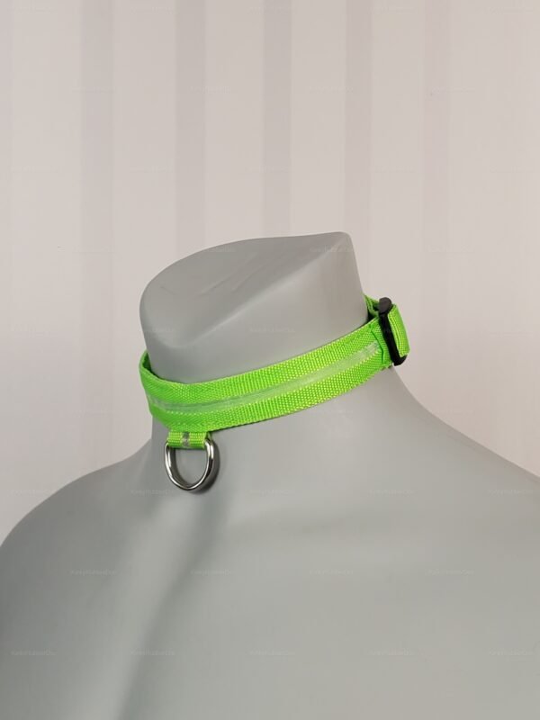 Vibrant green nylon collar with LED feature and metal D-ring for a bold, playful look.