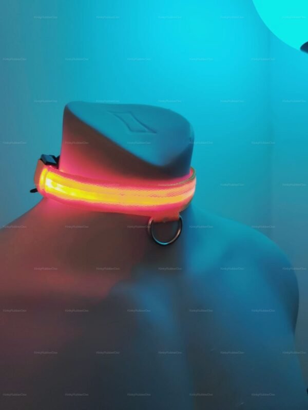 Vibrant orange LED collar with neon glow and metal ring.