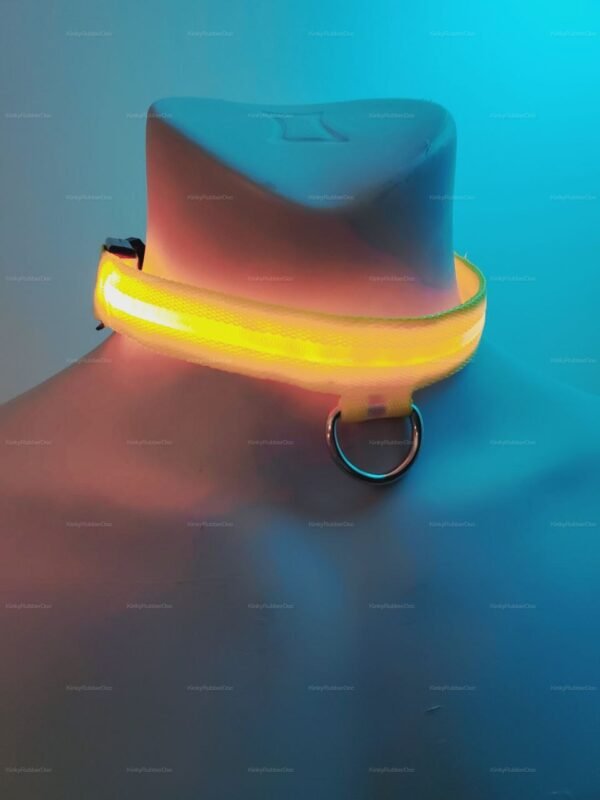 Neon yellow LED collar with USB recharge, featuring a D-ring for added versatility.