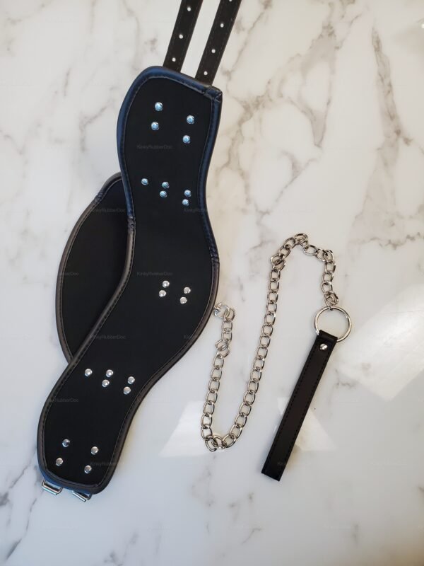 **Alt Text:** Black leather chest harness with adjustable straps and metal hardware.