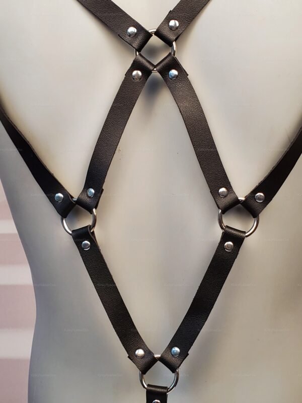 Sleek black adjustable strap harness with metal clips and rings.