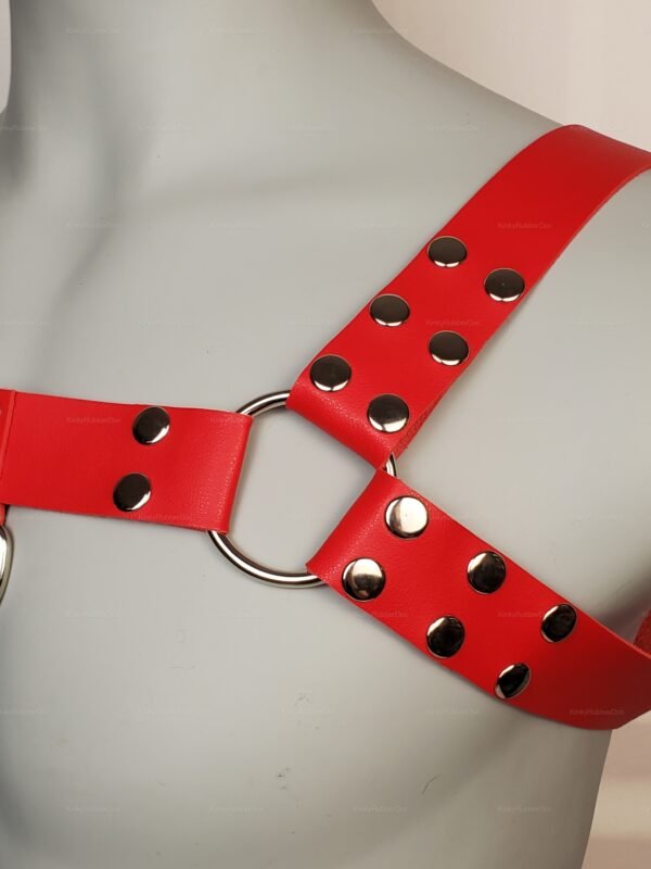 Close-up of red leather harness back with silver D-ring and rivet strap details, queer fetish gear
