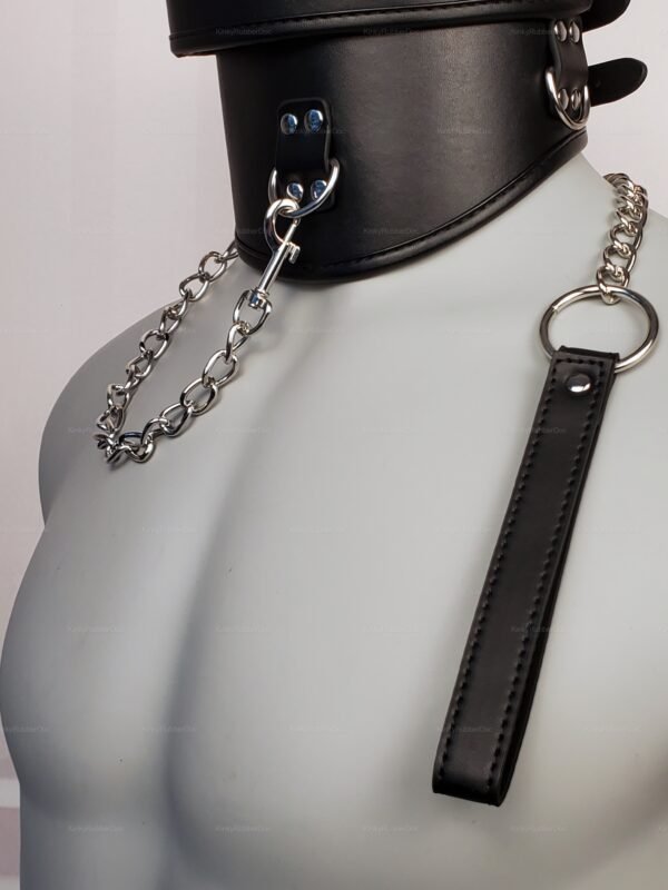 High posture leather collar with attached chain leash and metal accents.