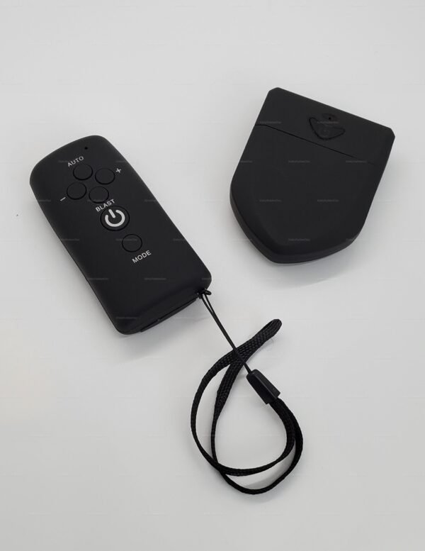 BDSM EWireless Electro Power Controller Gear featuring a sleek black remote and receiver for electrifying experiences.
