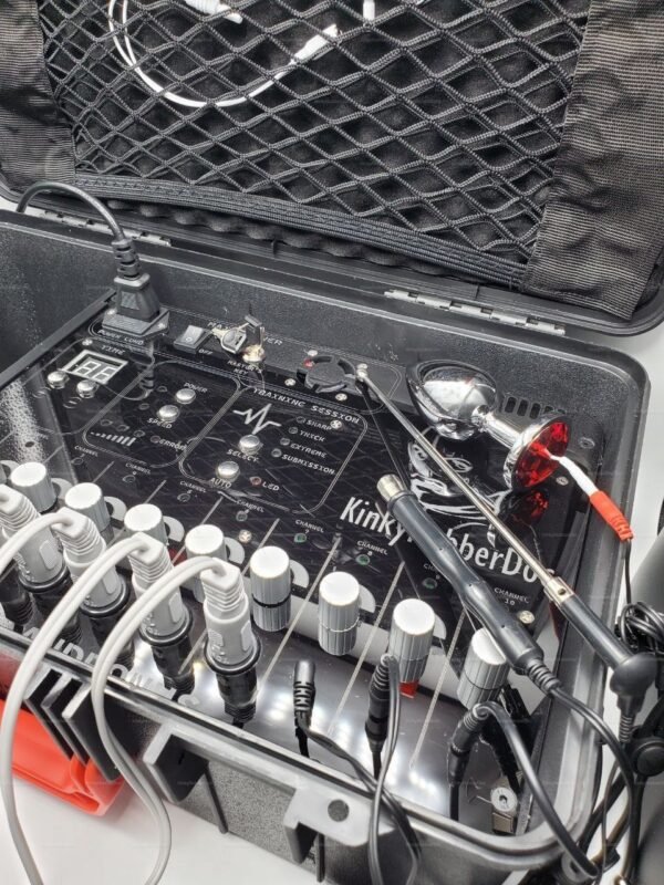 E-stim device kit with various electrode toys and control panel in a sleek black case.